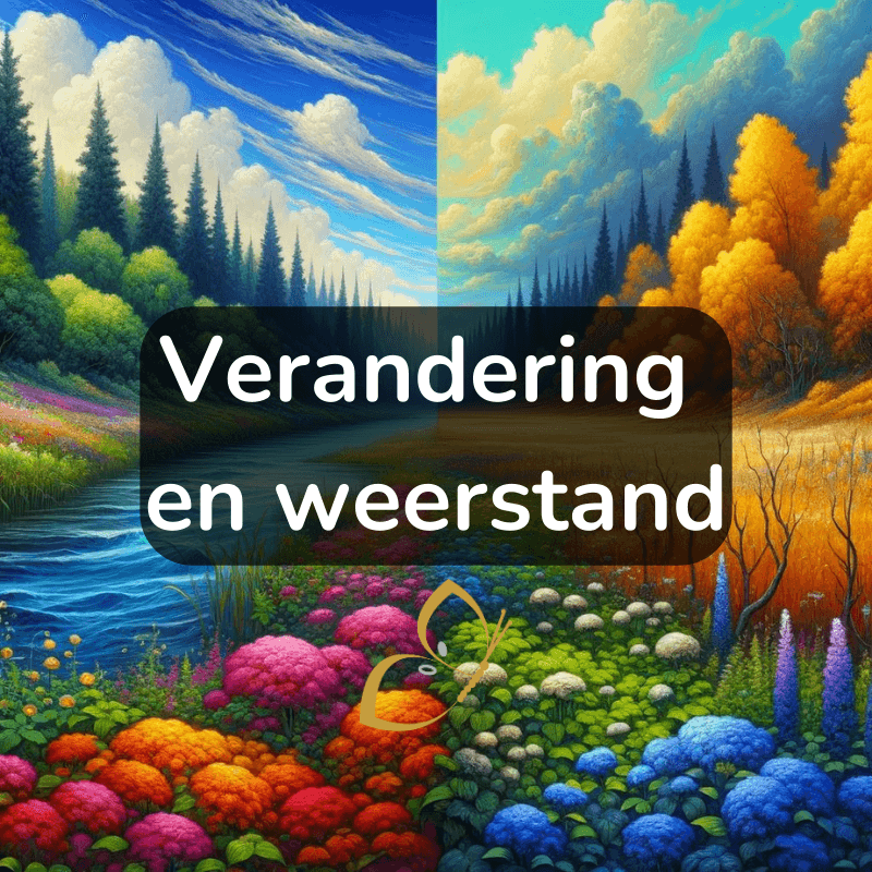 VERANDERING EN WEERSTAND - ONLINE TRAINING